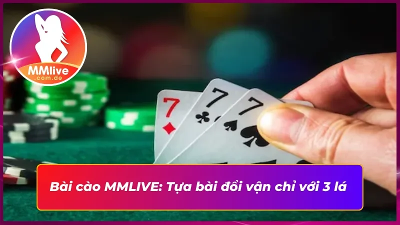 Bài Cào MMLIVE Là Game Bài Quốc Dân Khiến Cộng Đồng Dậy Sóng 2 Bóc tách bài cào: Game bài 3 lá hot nhất hiện nay