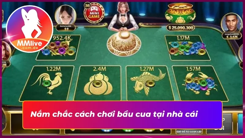 Hướng Dẫn Chơi Bầu Cua MMLIVE Mua Vui Thắng Lớn 4 Một số luật cơ bản cần biết khi chơi bầu cua