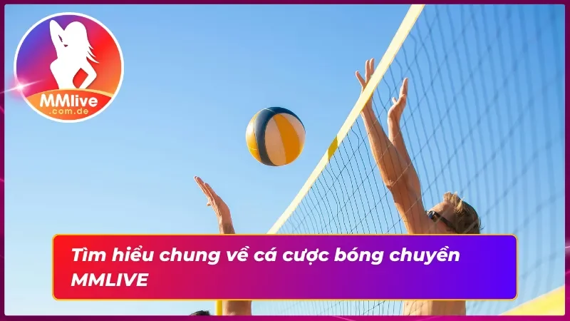 Bóng Chuyền MMLIVE: Trải Nghiệm Cá Cược Hấp Dẫn Mỗi Set Đấu 2 Sơ lược về bóng chuyền