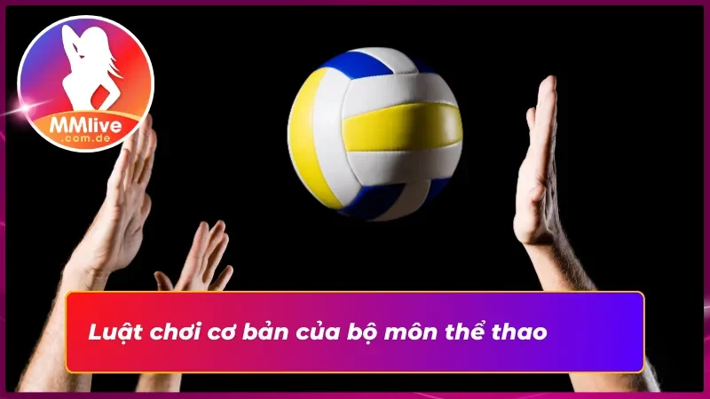 Bóng Chuyền MMLIVE: Trải Nghiệm Cá Cược Hấp Dẫn Mỗi Set Đấu 3 Luật chơi chi tiết của bóng chuyền