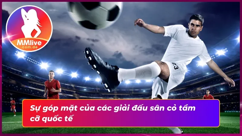 Bóng đá MMLive - Trải Nghiệm Cá Cược Thể Thao Đẳng Cấp 5 Các giải đấu bóng đá hàng đầu thế giới quy tụ