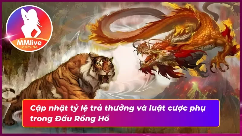 Đấu Rồng Hổ MMLIVE: Hành Trình Đưa Bạn Vào Cá Cược 1 Ăn 100 4 Tỷ lệ trả thưởng và các luật phụ quan trọng trong Đấu Rồng Hổ