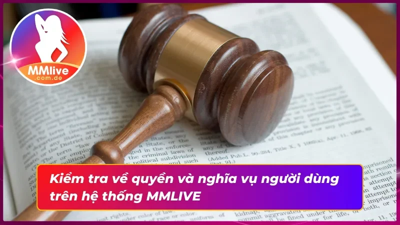 Điều Khoản Và Điều Kiện MMLIVE Mới Nhất Năm 2025 3 Điều khoản và điều kiện MMLIVE về quyền và nghĩa vụ người dùng
