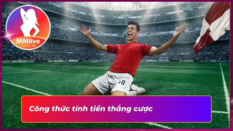 Kèo Châu ÂU MMLIVE: Lựa Chọn Sáng Suốt, Cho Các Tân Binh 5 Tìm hiểu chi tiết về công thức tính tiền của kèo Châu Âu