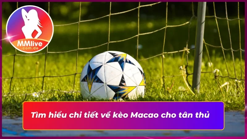 Kèo Macao MMLive Và Cách Làm Chủ Một Ván Cược Tốt Nhất 2 Nắm rõ khái niệm cơ bản về kèo Macao cho tân thủ