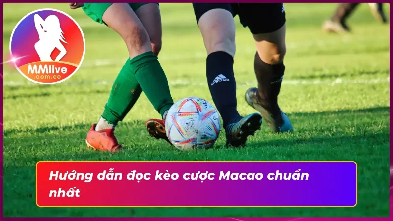 Kèo Macao MMLive Và Cách Làm Chủ Một Ván Cược Tốt Nhất 3 Hướng dẫn người chơi cách đọc kèo Macao