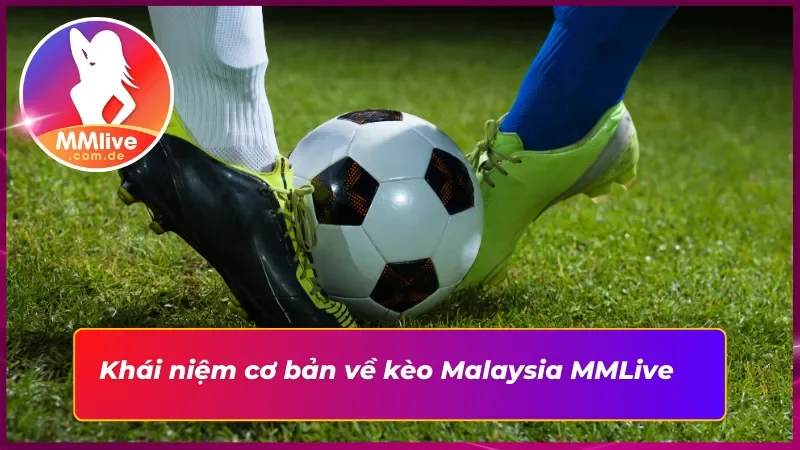 Tìm Hiểu Cách Thức Vận Hành Kèo Malaysia MMLive Tối Ưu 2 Tìm hiểu thông tin về kèo Malaysia cho tân thủ