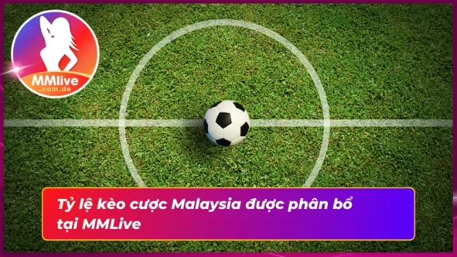 Tìm Hiểu Cách Thức Vận Hành Kèo Malaysia MMLive Tối Ưu 4 Khám phá tỷ lệ kèo Malaysia chi tiết nhất
