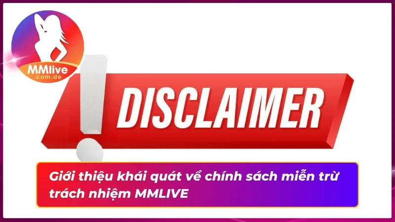 Chi Tiết Về Miễn Trừ Trách Nhiệm MMLIVE Cho Tân Thủ 1 Giới thiệu khái quát về chính sách miễn trừ trách nhiệm hiện nay