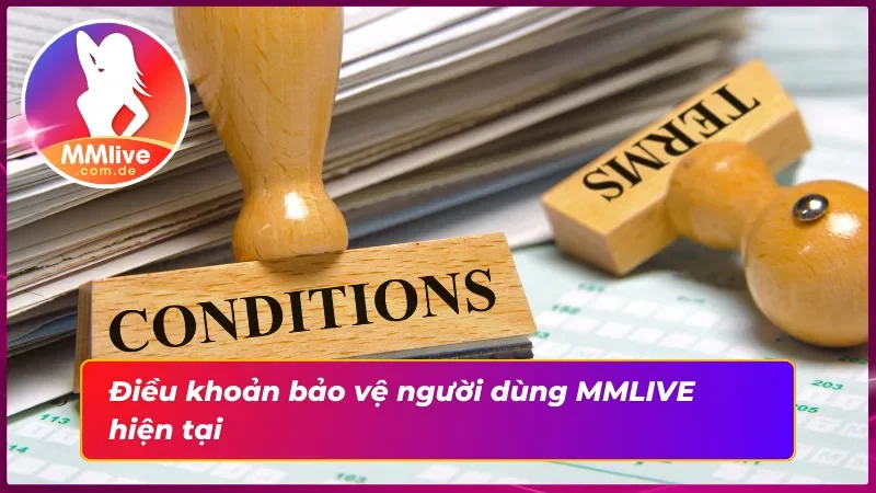 Chi Tiết Về Miễn Trừ Trách Nhiệm MMLIVE Cho Tân Thủ 4 Miễn trừ trách nhiệm trong điều khoản bảo vệ người dùng