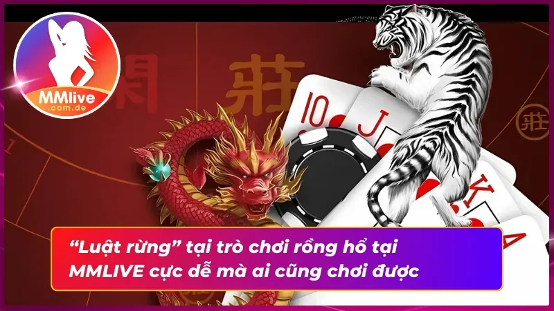 Rồng hổ MMLIVE - Game Bài Đối Kháng Đỉnh Cao “Vời Vợi” 3 Những “quy tắc sinh tồn” trong Rồng hổ