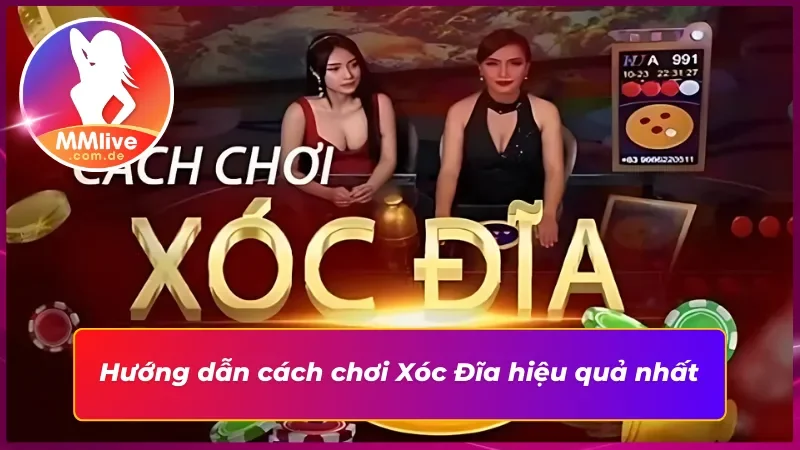 Bật Mí Cách Chinh Phục Xóc Đĩa MMLIVE Siêu Đơn Giản 4 Cách cược Xóc Đĩa trực tuyến